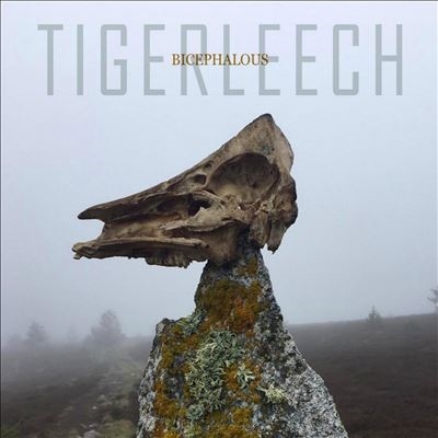 Tigerleech/Bicephalous[OR18CD]