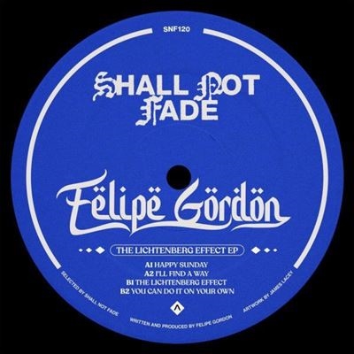TOWER RECORDS ONLINE㤨Felipe Gordon/The Lichtenberg EffectRed Blue Vinyl[SHLX1201]פβǤʤ4,690ߤˤʤޤ