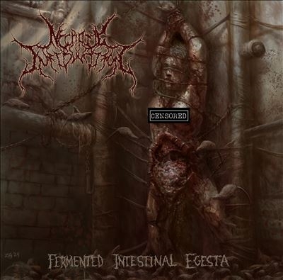 TOWER RECORDS ONLINE㤨Necrotic Infibulation/Fermented Intestinal Egesta[NSE09901]פβǤʤ2,490ߤˤʤޤ