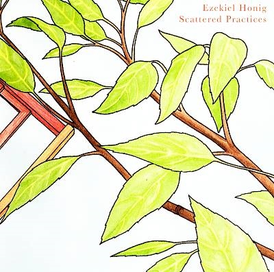 TOWER RECORDS ONLINE㤨Ezekiel Honig/Scattered Practices[MCOSM1017]פβǤʤ2,690ߤˤʤޤ