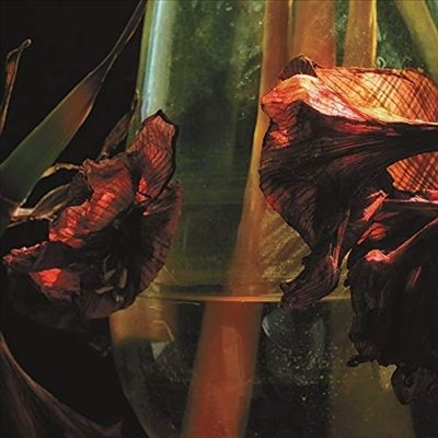 TOWER RECORDS ONLINE㤨Hayvanlar Alemi/Psychedelia In Times Of Turbulence3 Colored Vinyl/ס[SSR0069LPX]פβǤʤ4,290ߤˤʤޤ