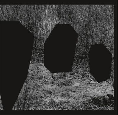 TOWER RECORDS ONLINE㤨Noun/Meeting Of The Minds[PLAYRJC059]פβǤʤ2,990ߤˤʤޤ