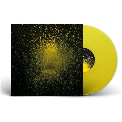 THE ANTLERS BURST APART レコード The Antlers – Burst Apart | Releases | Discogs