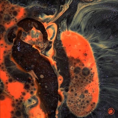 Death To The Planet Death To The Planet