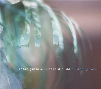 Robin Guthrie/Another Flower[DRL3602]