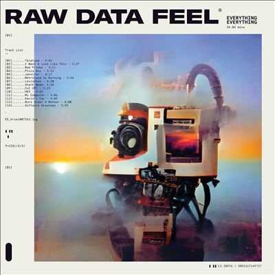 Everything Everything/Raw Data Feel[EVEV002CD]