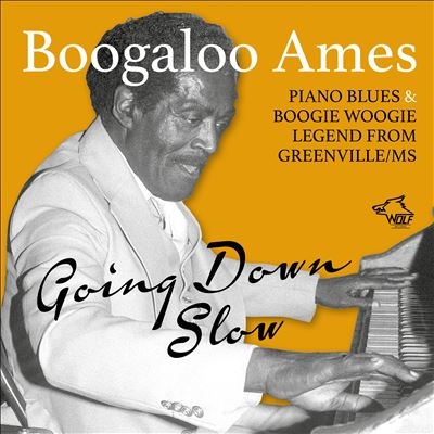 Boogaloo Ames/Going Down Slow[CD120943]