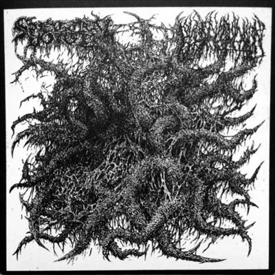 Mephitic Effluvia/(Slowly) Claimed By Oblivion Mephitic Effluvia/(Slowly) Claimed By Oblivion