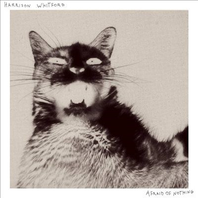 TOWER RECORDS ONLINE㤨Harrison Whitford/Afraid of Nothing[SDR002LP]פβǤʤ4,690ߤˤʤޤ