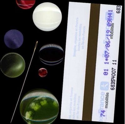 Can Thought Exist Without the Body