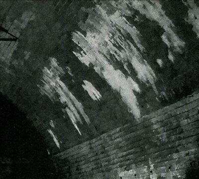 TOWER RECORDS ONLINE㤨Svarte Greiner/Devolving Trust[MIACD055]פβǤʤ3,090ߤˤʤޤ
