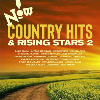 Now! Country Hits &Rising Stars 2[5394283]
