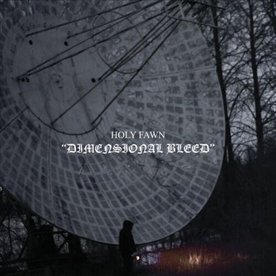 Holy Fawn/Dimensional BleedCoke Bottle Clear Vinyl[21CBC]