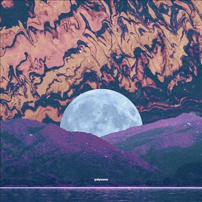 TOWER RECORDS ONLINE㤨Kairon Irse/Polysomn[SVART204LPB1]פβǤʤ5,390ߤˤʤޤ