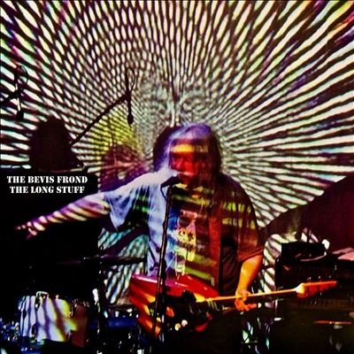 The Bevis Frond/The Long Stuff[LOBECD6]