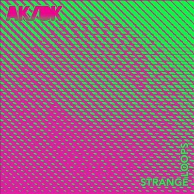 TOWER RECORDS ONLINE㤨AK/DK/Strange Loops[LME016CD]פβǤʤ2,890ߤˤʤޤ