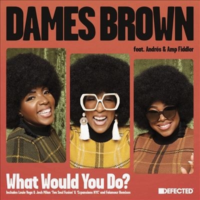 What Would You Do? (Remixes) (Feat. Andres & Amp Fiddler)