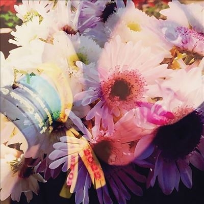 Illuminated 1989＜Pink/ Purple Splatter Vinyl＞