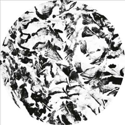 Mathimidori (aka Mathias Kaden)/Anata EP[ECHH921]