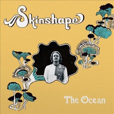TOWER RECORDS ONLINE㤨Skinshape/The Ocean/Longest Shadowס[LEWIS11671]פβǤʤ2,290ߤˤʤޤ