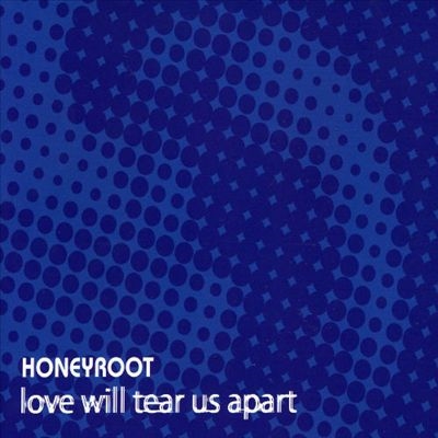 Love Will Tear Us Apart (2 Tracks)