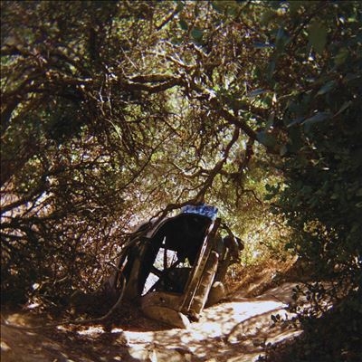 Ty Segall/Possession[DC915CD]