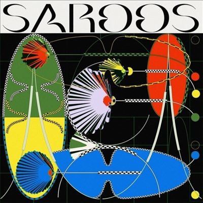 Saroos/Turtle Roll[N84LP]
