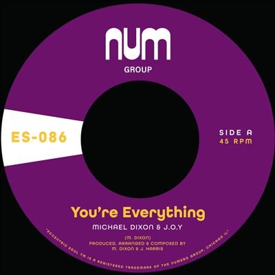 Michael Dixon &J.O.Y./You're Everything/You're All I Need[ES086]
