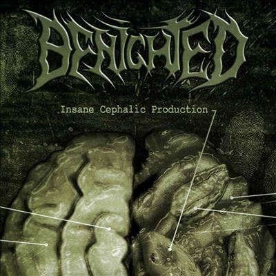TOWER RECORDS ONLINE㤨Benighted/Insane Cephalic Production[OPCD211]פβǤʤ2,790ߤˤʤޤ