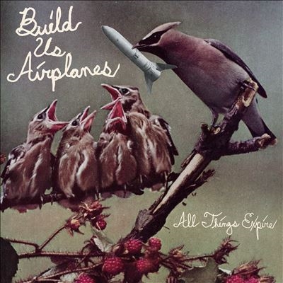 TOWER RECORDS ONLINE㤨Build Us Airplanes/All Things Expire[STHR083]פβǤʤ5,590ߤˤʤޤ
