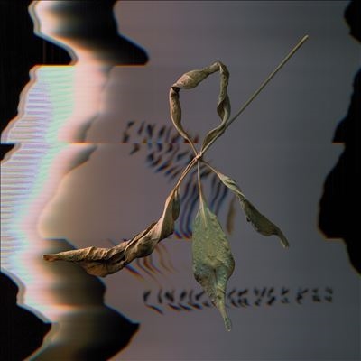 T. Gowdy/Trill Scan[CST181LP]