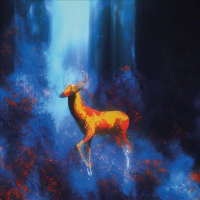 Angel Code/Dorcas EP[FAUX341]