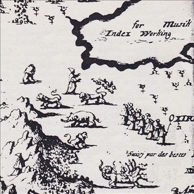 Index For Working Musik/Which Direction Goes the Beam[TLV177CD]
