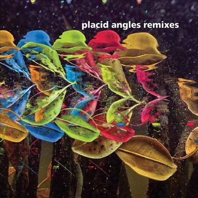 Placid Angels/Touch The Earth Remixes