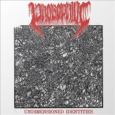 TOWER RECORDS ONLINE㤨Phobophilic/Undimensioned Identities[ROTTED11LP]פβǤʤ3,390ߤˤʤޤ