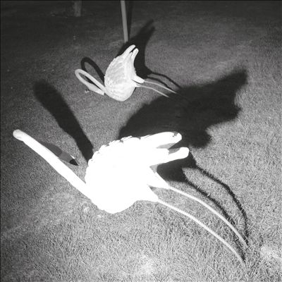 A Mimesis of Nothingness＜限定盤＞