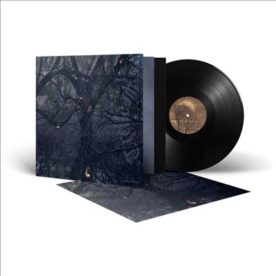 ...By The Shadows...