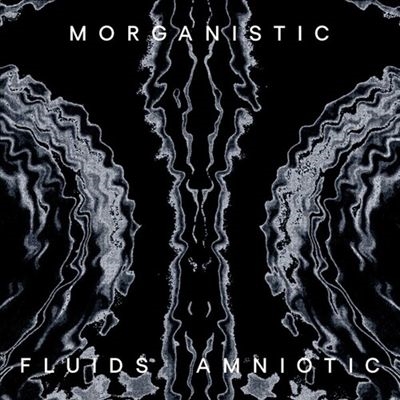 TOWER RECORDS ONLINE㤨Morganistic/Fluids Amniotic[MOTELP06]פβǤʤ4,290ߤˤʤޤ