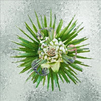 How???/How???Ultra Clear Vinyl[LPMSR097C]