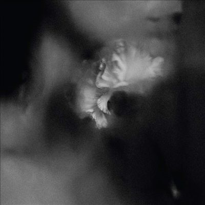 Holding Absence Holding Absence