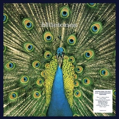 The bluetones『Expecting to Fly』アナログレコード Bluetones - Expecting to Fly - Amazon.com Music