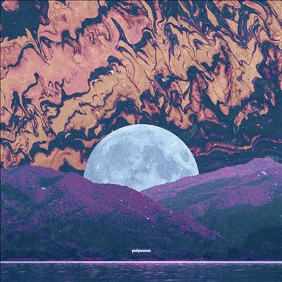 TOWER RECORDS ONLINE㤨Kairon Irse/Polysomn[SVRD2042]פβǤʤ3,190ߤˤʤޤ