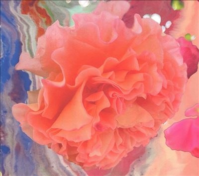 TOWER RECORDS ONLINE㤨Conic Rose/Heller Tag[CONICROSECD01]פβǤʤ3,190ߤˤʤޤ