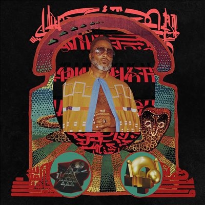 TOWER RECORDS ONLINE㤨Shabazz Palaces/The Don Of Diamond Dreams[SPCS1335]פβǤʤ2,090ߤˤʤޤ