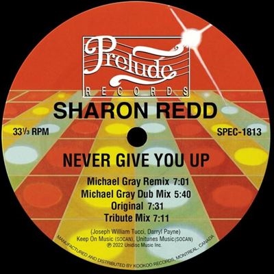 Never Give You Up (Incl. Michael Gray Remix)