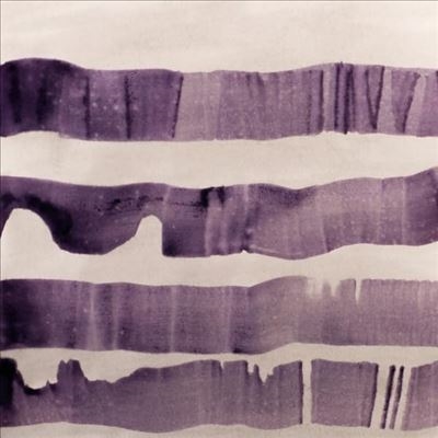 TOWER RECORDS ONLINE㤨Flocks/Flocks[ZEHRA010]פβǤʤ4,590ߤˤʤޤ