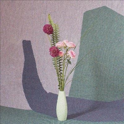 TOWER RECORDS ONLINE㤨Nick Schofield/Ambient Ensemble[61297944538]פβǤʤ4,090ߤˤʤޤ