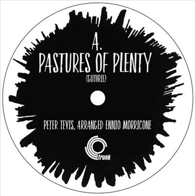Peter Tevis/Pastures Of Plenty[TTT015]