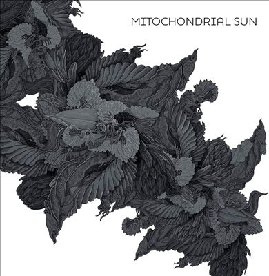 TOWER RECORDS ONLINE㤨Mitochondrial Sun/Mitochondrial SunColored Vinyl[REXLP170]פβǤʤ4,090ߤˤʤޤ