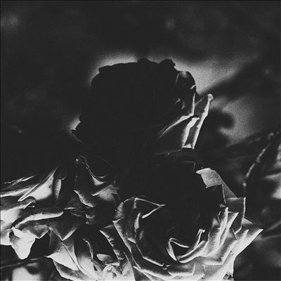 TOWER RECORDS ONLINE㤨Hexis/Split 5inchϡס[INIT112]פβǤʤ2,490ߤˤʤޤ